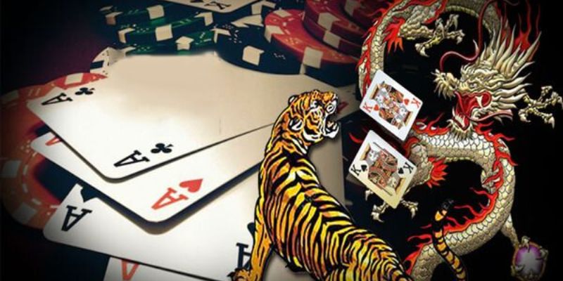 Mẹo chơi Rồng Hổ hiệu quả từ cao thủ MU88